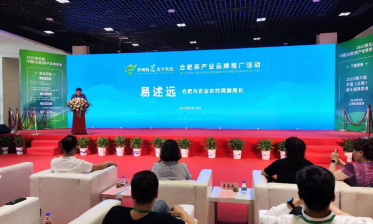 廬州好茗，天下共飲！2023太原茶博會(huì)合肥專場(chǎng)推介會(huì)成功舉行